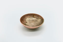 Dual Bowl 369