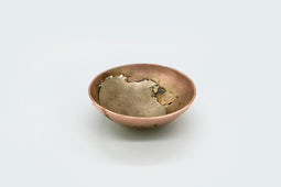Dual Bowl 371